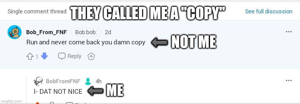 BRUH | THEY CALLED ME A "COPY"; ⬅ NOT ME; ⬅ ME | image tagged in reddit | made w/ Imgflip meme maker