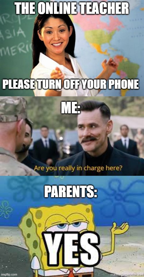 THE ONLINE TEACHER; PLEASE TURN OFF YOUR PHONE; ME:; PARENTS: | image tagged in memes,unhelpful high school teacher | made w/ Imgflip meme maker