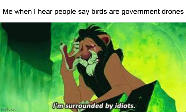 i'm surrounded by idiots | Me when I hear people say birds are government drones | image tagged in i'm surrounded by idiots | made w/ Imgflip meme maker