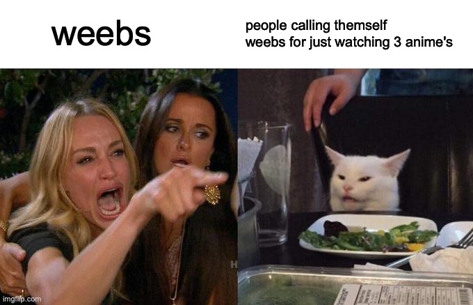 me back then for only watching JoJo, Naruto, and Kekkai Sensen | weebs; people calling themself weebs for just watching 3 anime's | image tagged in memes,woman yelling at cat | made w/ Imgflip meme maker