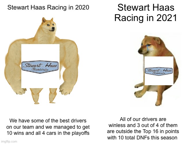 Buff Doge vs. Cheems Meme | Stewart Haas Racing in 2021; Stewart Haas Racing in 2020; We have some of the best drivers on our team and we managed to get 10 wins and all 4 cars in the playoffs; All of our drivers are winless and 3 out of 4 of them are outside the Top 16 in points with 10 total DNFs this season | image tagged in memes,buff doge vs cheems | made w/ Imgflip meme maker