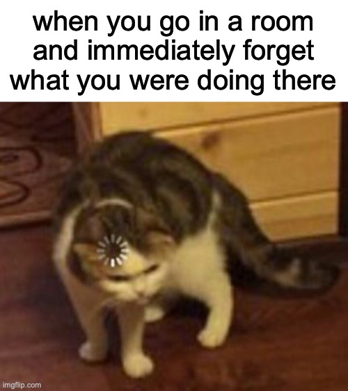 lol | when you go in a room and immediately forget what you were doing there | image tagged in loading cat | made w/ Imgflip meme maker