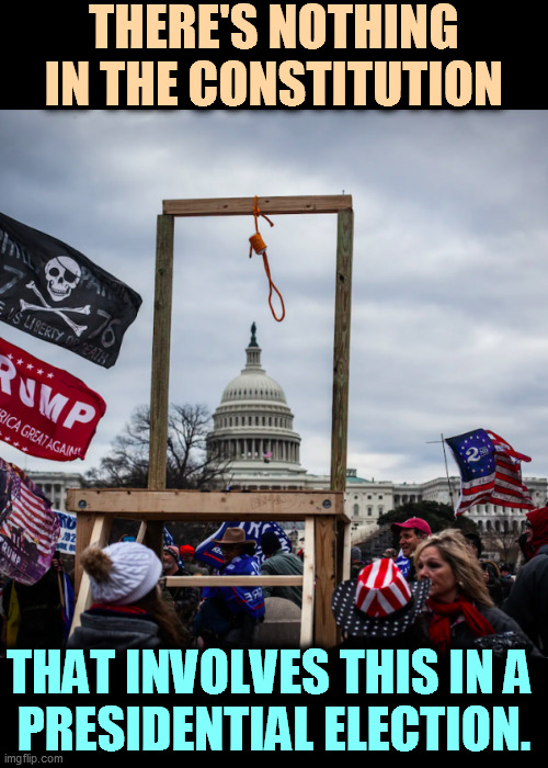 Just a bunch of tourists having a good time, right? | THERE'S NOTHING IN THE CONSTITUTION; THAT INVOLVES THIS IN A 
PRESIDENTIAL ELECTION. | image tagged in capitol hill,riot,coup,republican,right wing,neo-nazis | made w/ Imgflip meme maker