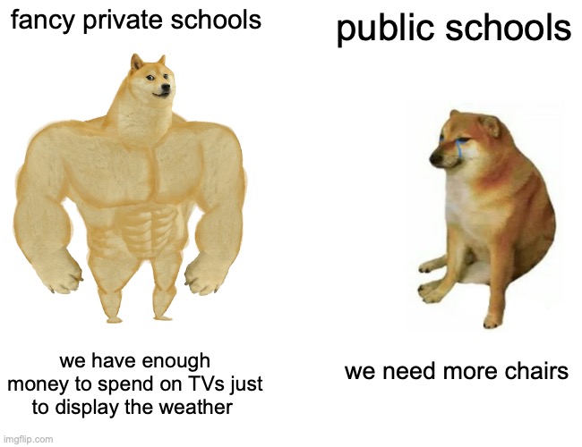 sad | fancy private schools; public schools; we have enough money to spend on TVs just to display the weather; we need more chairs | image tagged in memes,buff doge vs cheems | made w/ Imgflip meme maker