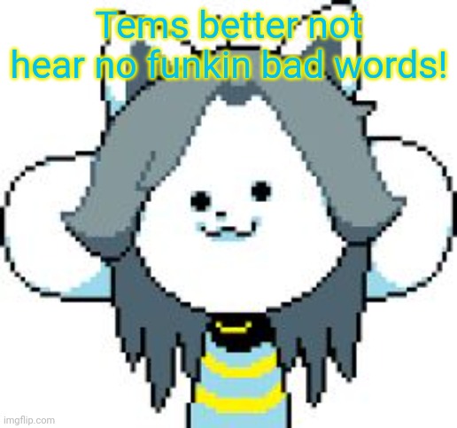 TEMMIE | Tems better not hear no funkin bad words! | image tagged in temmie | made w/ Imgflip meme maker