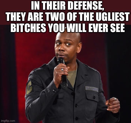 Dave Chappelle | IN THEIR DEFENSE, THEY ARE TWO OF THE UGLIEST BITCHES YOU WILL EVER SEE | image tagged in dave chappelle | made w/ Imgflip meme maker