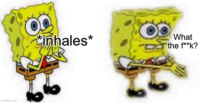 What the heck am I reading right now? | What the f**k? *inhales* | image tagged in spongebob inhale boi | made w/ Imgflip meme maker