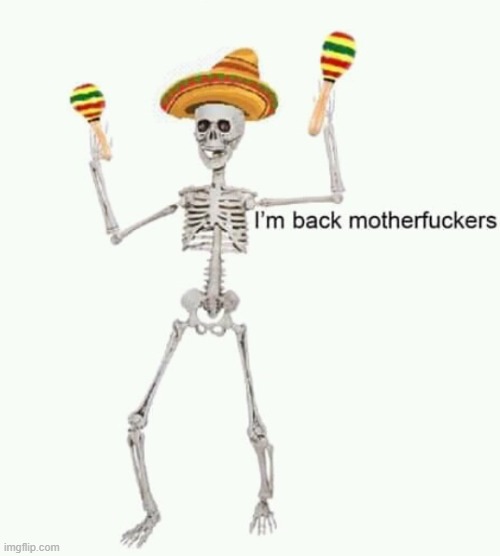 prolly only 4 a short time tho lmao | image tagged in i'm back mfs | made w/ Imgflip meme maker