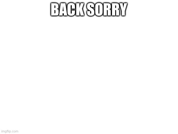 I was out | BACK SORRY | image tagged in blank white template | made w/ Imgflip meme maker