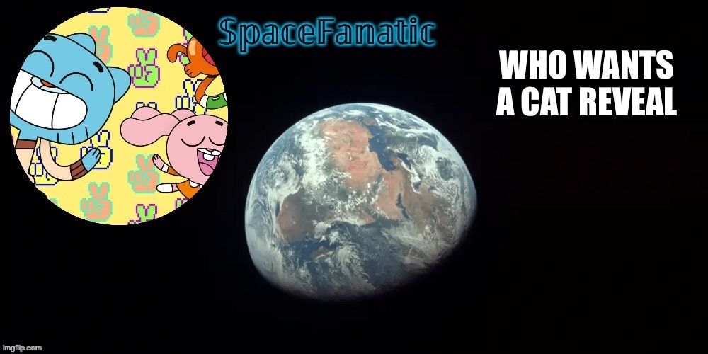 SpaceFanatic's announcement template | WHO WANTS A CAT REVEAL | image tagged in spacefanatic's announcement template | made w/ Imgflip meme maker