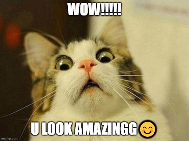 have a good day!!!! | WOW!!!!! U LOOK AMAZINGG😊 | image tagged in memes,scared cat | made w/ Imgflip meme maker