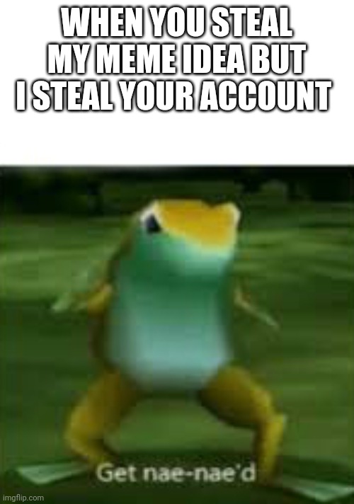 Kidding right | WHEN YOU STEAL MY MEME IDEA BUT I STEAL YOUR ACCOUNT | image tagged in get nae nae'd | made w/ Imgflip meme maker