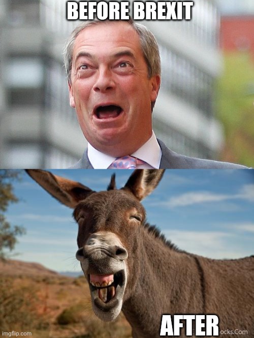 BEFORE BREXIT; AFTER | image tagged in nigel farage,donkey jackass braying | made w/ Imgflip meme maker