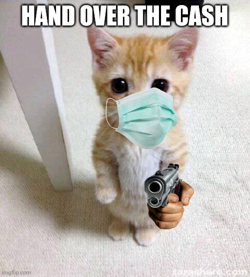 This is a robbery | HAND OVER THE CASH | image tagged in memes,cute cat | made w/ Imgflip meme maker