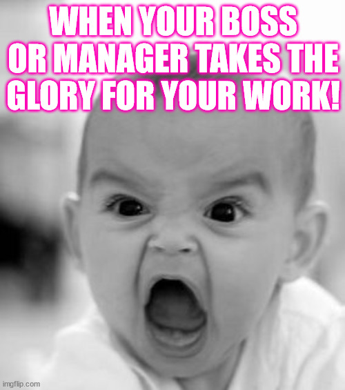It was my work! |  WHEN YOUR BOSS OR MANAGER TAKES THE GLORY FOR YOUR WORK! | image tagged in stem,leadership | made w/ Imgflip meme maker