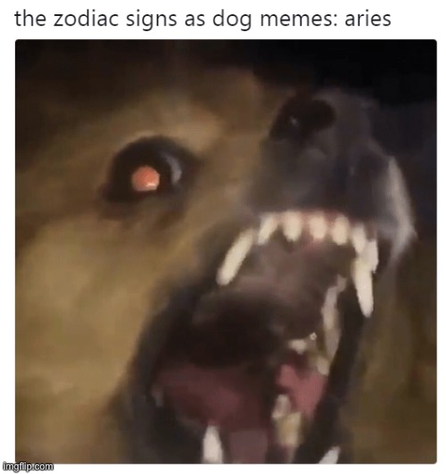 AAAAAAAAAAA | made w/ Imgflip meme maker