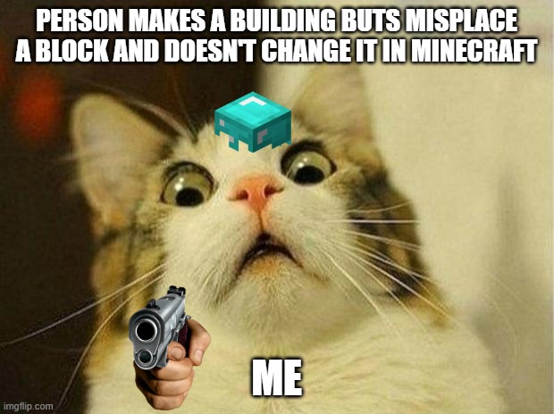 misplace | PERSON MAKES A BUILDING BUTS MISPLACE A BLOCK AND DOESN'T CHANGE IT IN MINECRAFT; ME | image tagged in memes,scared cat | made w/ Imgflip meme maker
