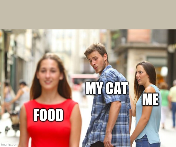 Distracted Boyfriend | ME; MY CAT; FOOD | image tagged in memes,distracted boyfriend | made w/ Imgflip meme maker