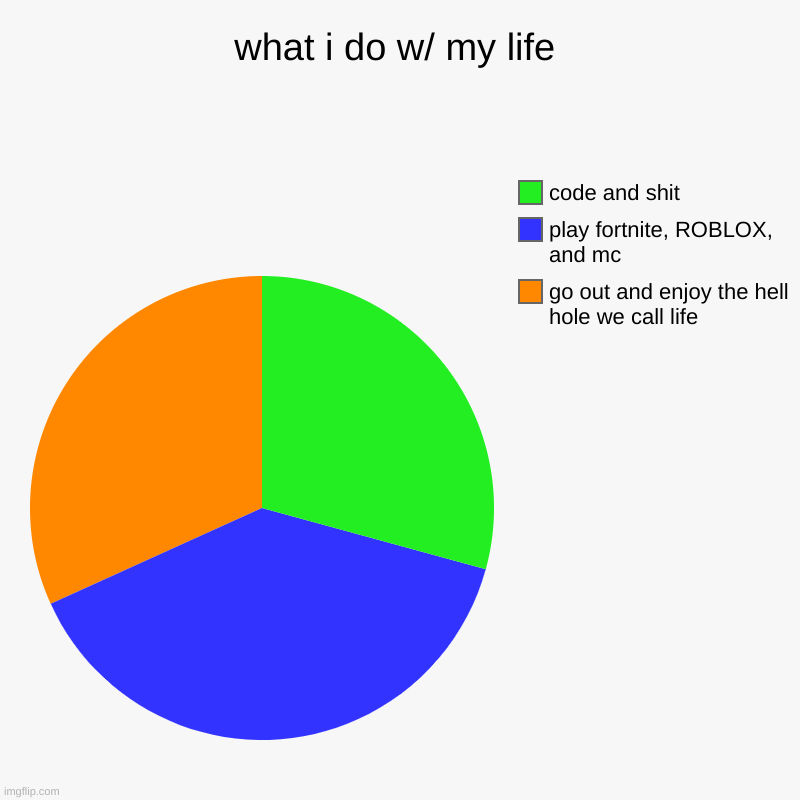 what i do w/ my life | go out and enjoy the hell hole we call life, play fortnite, ROBLOX, and mc, code and shit | image tagged in charts,pie charts | made w/ Imgflip chart maker