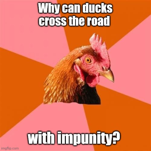 Anti Joke Chicken Meme | Why can ducks cross the road with impunity? | image tagged in memes,anti joke chicken | made w/ Imgflip meme maker