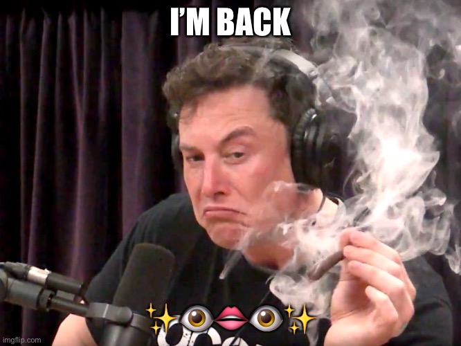 Elon Musk Weed | I’M BACK; ✨👁👄👁✨ | image tagged in elon musk weed | made w/ Imgflip meme maker