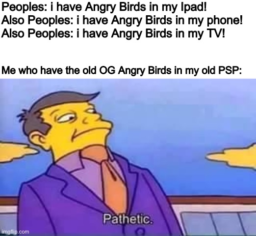 H | Peoples: i have Angry Birds in my Ipad!

Also Peoples: i have Angry Birds in my phone!

Also Peoples: i have Angry Birds in my TV! Me who have the old OG Angry Birds in my old PSP: | image tagged in skinner pathetic | made w/ Imgflip meme maker