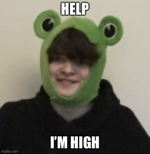 Frogbo | HELP; I’M HIGH | image tagged in frogbo | made w/ Imgflip meme maker