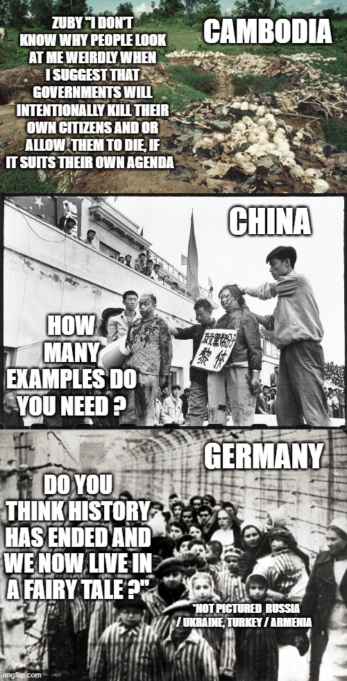 at it's very best government is a necessary evil | ZUBY "I DON'T KNOW WHY PEOPLE LOOK AT ME WEIRDLY WHEN I SUGGEST THAT GOVERNMENTS WILL INTENTIONALLY KILL THEIR OWN CITIZENS AND OR ALLOW  THEM TO DIE, IF IT SUITS THEIR OWN AGENDA; CAMBODIA; CHINA; HOW MANY EXAMPLES DO YOU NEED ? GERMANY; DO YOU THINK HISTORY HAS ENDED AND WE NOW LIVE IN A FAIRY TALE ?"; *NOT PICTURED  RUSSIA / UKRAINE, TURKEY / ARMENIA | made w/ Imgflip meme maker