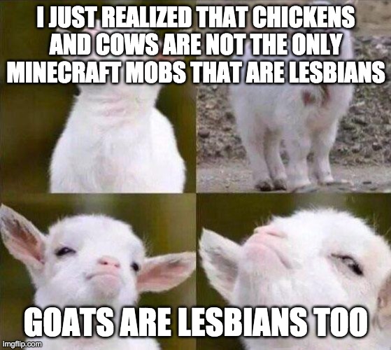 because all goats can be milked ( ͡° ͜ʖ ͡°) | I JUST REALIZED THAT CHICKENS AND COWS ARE NOT THE ONLY MINECRAFT MOBS THAT ARE LESBIANS; GOATS ARE LESBIANS TOO | image tagged in smug goat | made w/ Imgflip meme maker