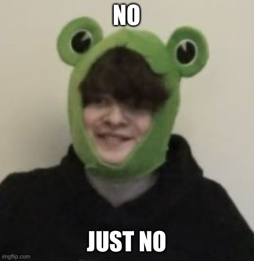 Frogbo | NO JUST NO | image tagged in frogbo | made w/ Imgflip meme maker