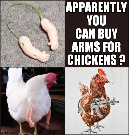 Arming Chickens.  A Good Or A Bad Idea ? | APPARENTLY YOU CAN BUY ARMS FOR CHICKENS ? | image tagged in chickens,visual pun | made w/ Imgflip meme maker