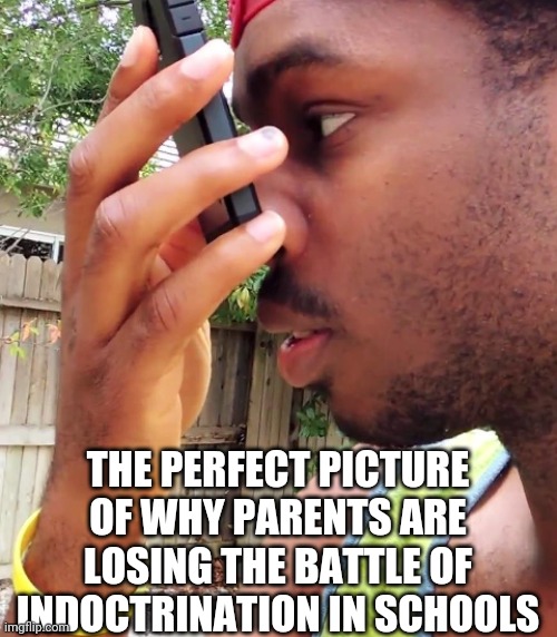 THE PERFECT PICTURE OF WHY PARENTS ARE LOSING THE BATTLE OF INDOCTRINATION IN SCHOOLS | made w/ Imgflip meme maker