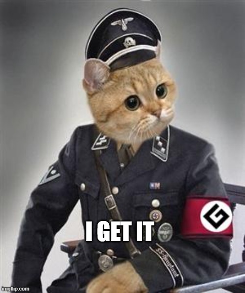 Grammar Nazi Cat | I GET IT | image tagged in grammar nazi cat | made w/ Imgflip meme maker