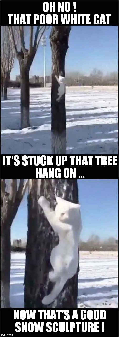 A 'Cat' In Peril ? | OH NO !
THAT POOR WHITE CAT; IT'S STUCK UP THAT TREE
HANG ON ... NOW THAT'S A GOOD
SNOW SCULPTURE ! | image tagged in cats,tree,snow,sculpture | made w/ Imgflip meme maker