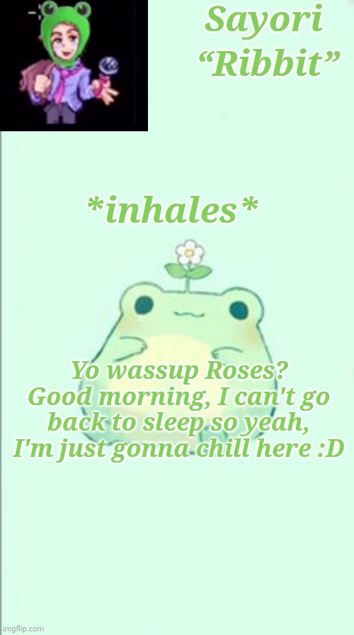 Froggy Temp | *inhales*; Yo wassup Roses? Good morning, I can't go back to sleep so yeah, I'm just gonna chill here :D | image tagged in froggy temp | made w/ Imgflip meme maker