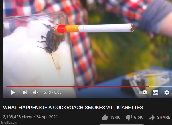 . | made w/ Imgflip meme maker