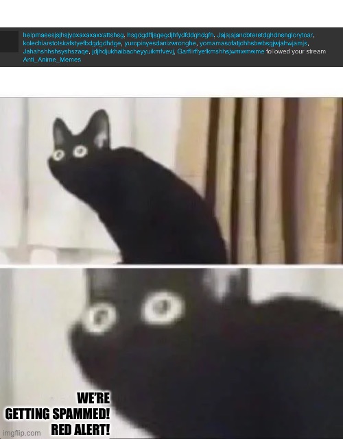 Oh No Black Cat | WE’RE GETTING SPAMMED! RED ALERT! | image tagged in oh no black cat | made w/ Imgflip meme maker