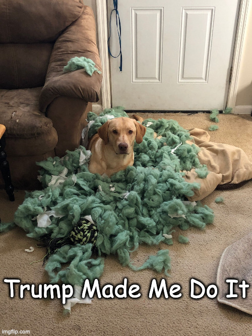 Bandits mess | Trump Made Me Do It | image tagged in bandits mess | made w/ Imgflip meme maker