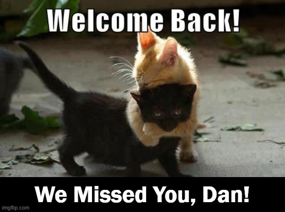 We Missed You, Dan! | made w/ Imgflip meme maker