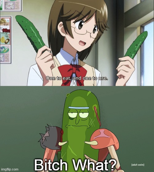 Pickle Cucumber | Bitch What? | image tagged in pickle rick,pickle,cucumber,anime,seitokai yakuindomo,rick and morty | made w/ Imgflip meme maker
