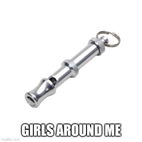 dog whistle | GIRLS AROUND ME | image tagged in dog whistle | made w/ Imgflip meme maker