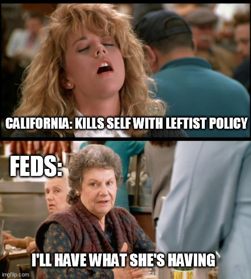 When Harry (Reid) met Newsom | CALIFORNIA: KILLS SELF WITH LEFTIST POLICY; FEDS:; I'LL HAVE WHAT SHE'S HAVING | image tagged in when harry met sally,california,leftists,destruction | made w/ Imgflip meme maker