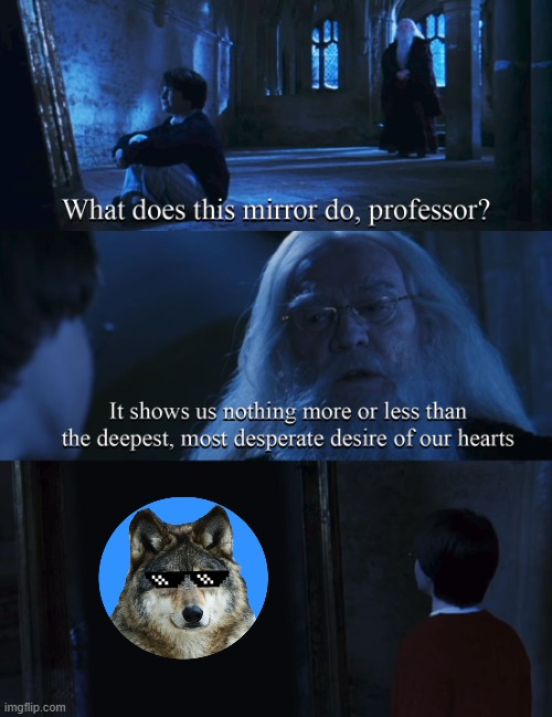 Harry potter mirror | image tagged in harry potter mirror | made w/ Imgflip meme maker