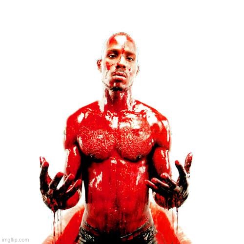 bloody dmx | image tagged in bloody dmx | made w/ Imgflip meme maker