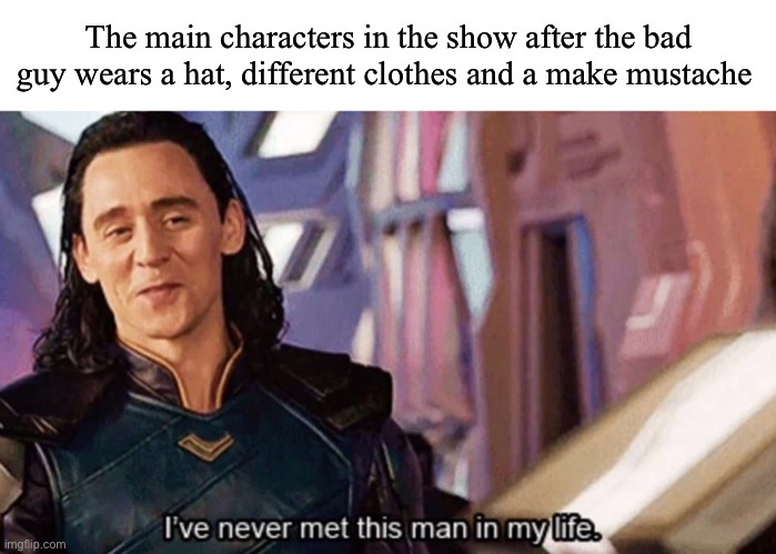 I mean it could be a different disguise lol | The main characters in the show after the bad guy wears a hat, different clothes and a make mustache | image tagged in i ve never met this man in my life | made w/ Imgflip meme maker