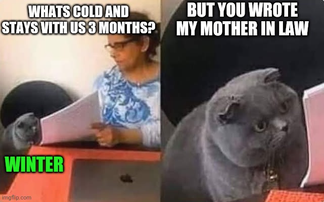 Meow! | BUT YOU WROTE MY MOTHER IN LAW; WHATS COLD AND STAYS VITH US 3 MONTHS? WINTER | image tagged in test,shocked cat | made w/ Imgflip meme maker