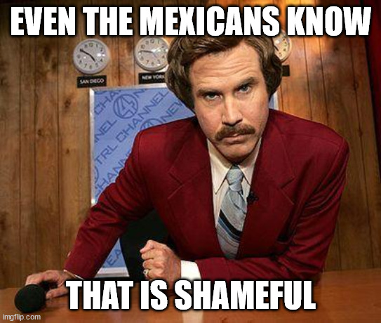 ron burgundy | EVEN THE MEXICANS KNOW THAT IS SHAMEFUL | image tagged in ron burgundy | made w/ Imgflip meme maker