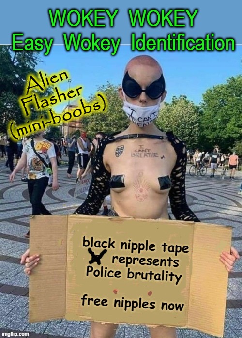 WOKEY  WOKEY | WOKEY  WOKEY
 Easy  Wokey  Identification; Alien
Flasher
(mini-boobs) | image tagged in flasher | made w/ Imgflip meme maker