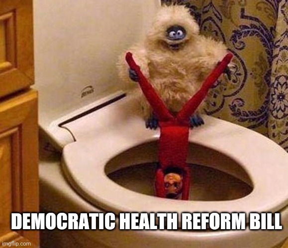 DEMOCRATIC HEALTH REFORM BILL | image tagged in funny memes | made w/ Imgflip meme maker
