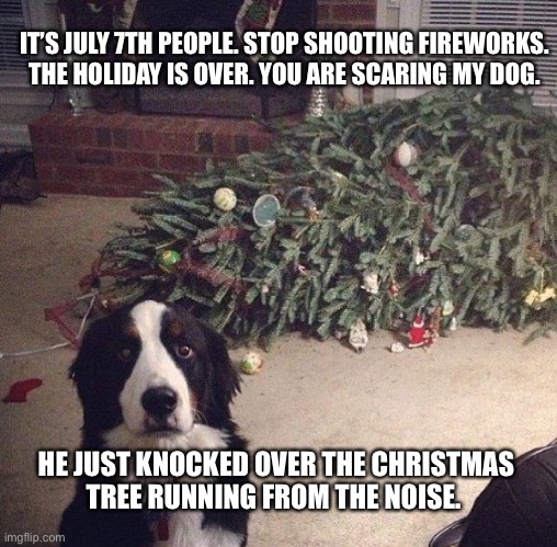 Stop it people ! |  IT’S JULY 7TH PEOPLE. STOP SHOOTING FIREWORKS.
THE HOLIDAY IS OVER. YOU ARE SCARING MY DOG. HE JUST KNOCKED OVER THE CHRISTMAS
TREE RUNNING FROM THE NOISE. | image tagged in dog christmas tree,4th of july,fireworks,july 4th,dog,sarcasm | made w/ Imgflip meme maker